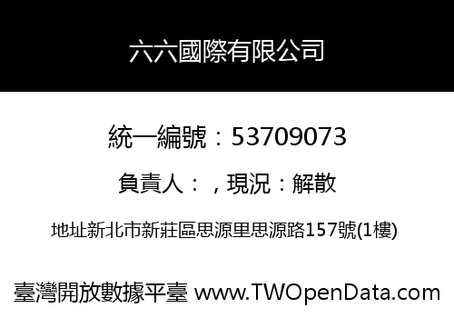 六六國際有限公司