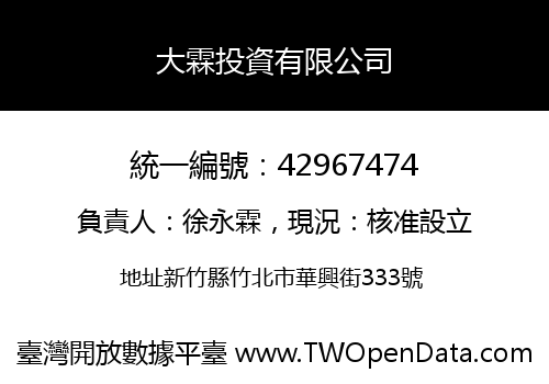 大霖投資有限公司