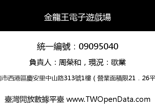 金龍王電子遊戲場