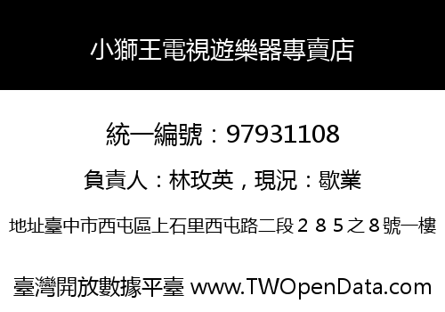 小獅王電視遊樂器專賣店