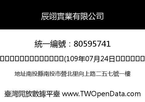 辰翊實業有限公司