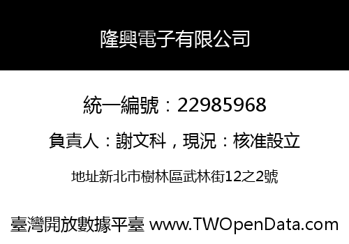 隆興電子有限公司