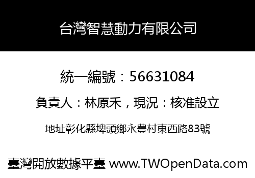 台灣智慧動力有限公司