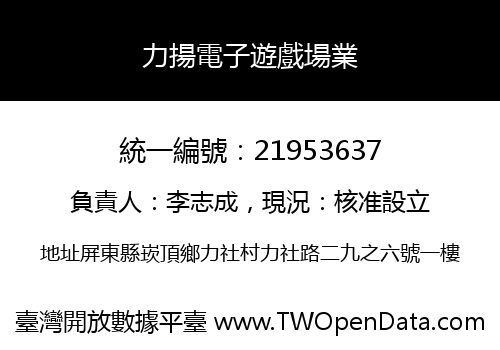 力揚電子遊戲場業