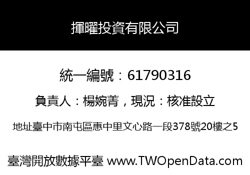 揮曜投資有限公司