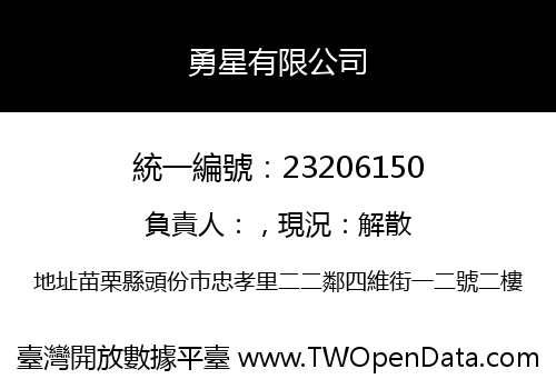 勇星有限公司