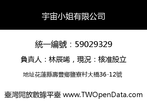 宇宙小姐有限公司