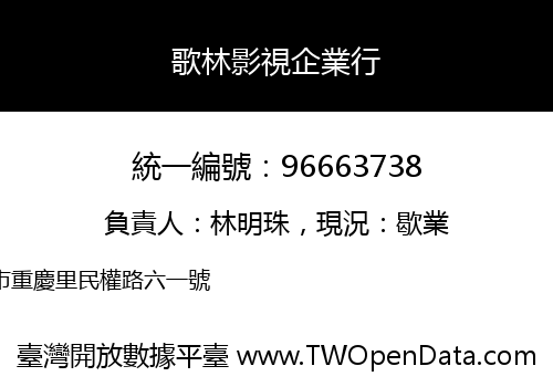歌林影視企業行