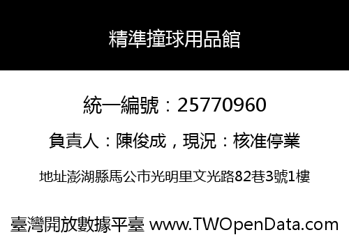 精準撞球用品館