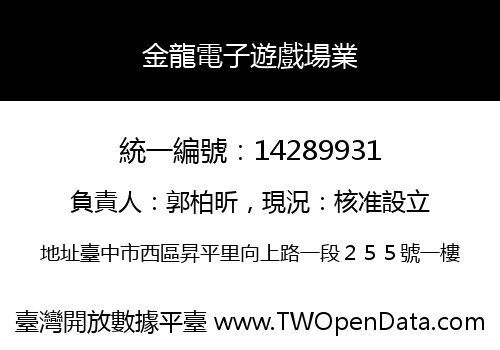 金龍電子遊戲場業