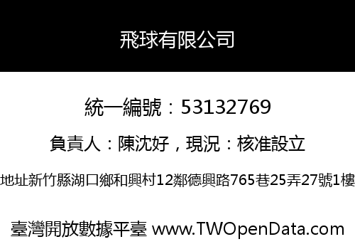 飛球有限公司
