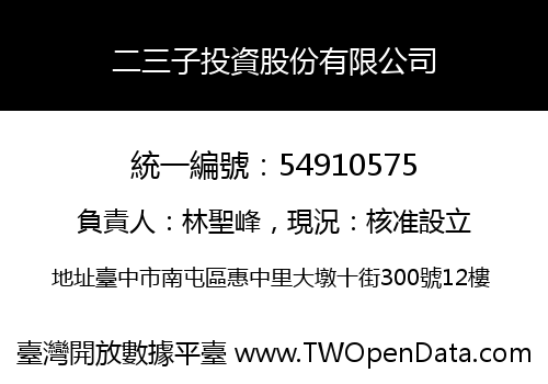 二三子投資股份有限公司