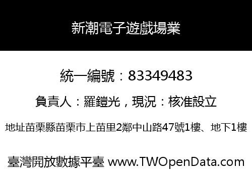 新潮電子遊戲場業