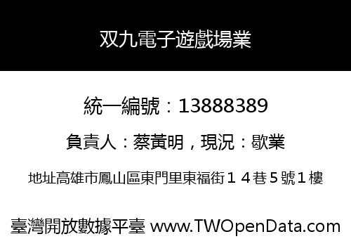 双九電子遊戲場業