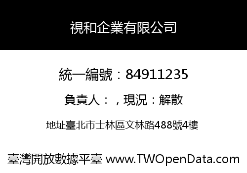 視和企業有限公司