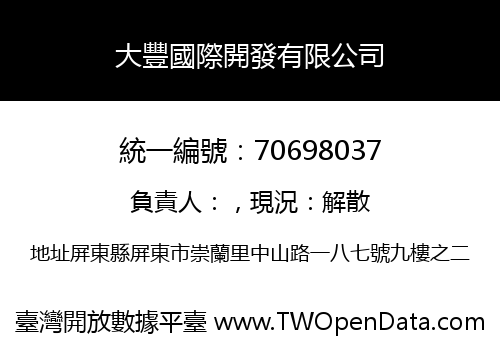 大豐國際開發有限公司