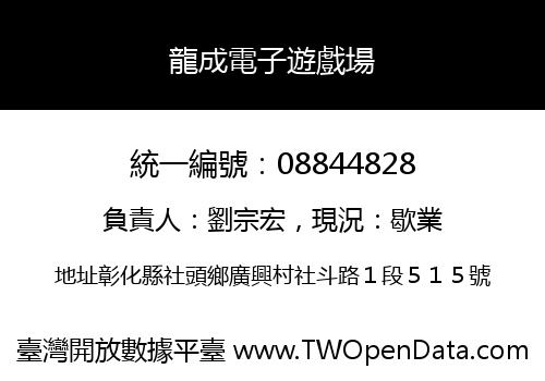 龍成電子遊戲場