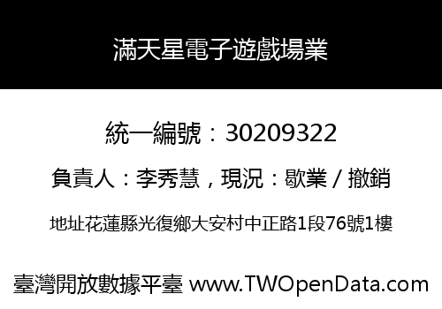 滿天星電子遊戲場業