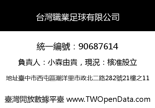 台灣職業足球有限公司