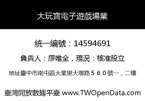 大玩寶電子遊戲場業