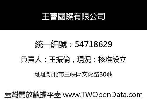 王曹國際有限公司