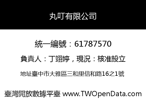 丸叮有限公司