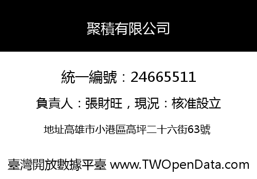聚積有限公司