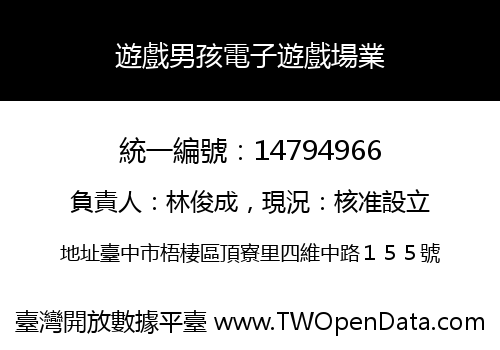 遊戲男孩電子遊戲場業