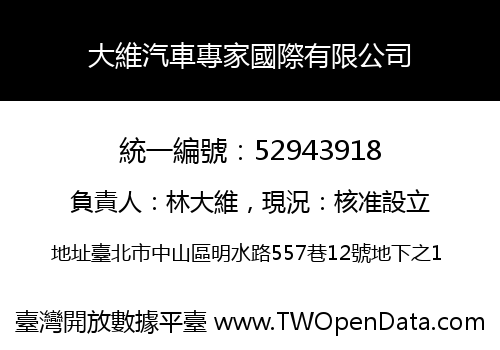 大維汽車專家國際有限公司