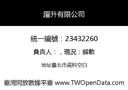 躍升有限公司