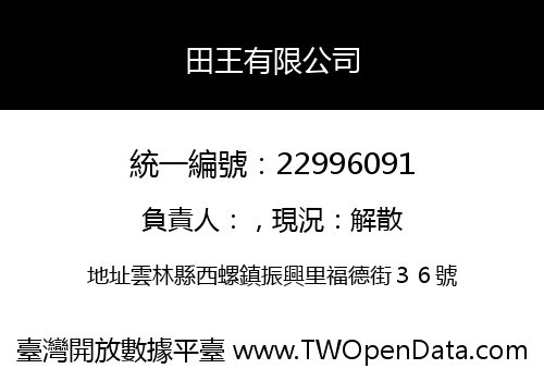 田王有限公司