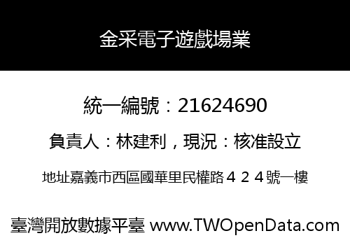金采電子遊戲場業