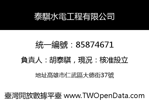 泰騏水電工程有限公司