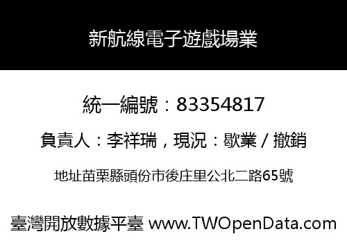 新航線電子遊戲場業