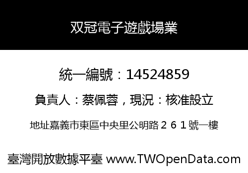 双冠電子遊戲場業
