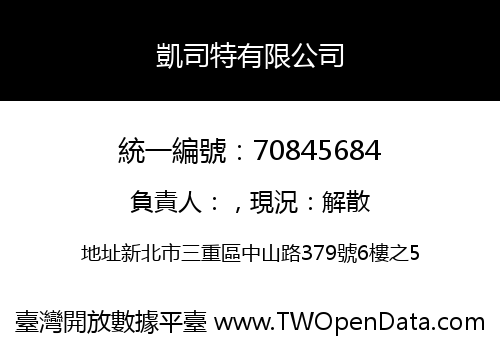 凱司特有限公司