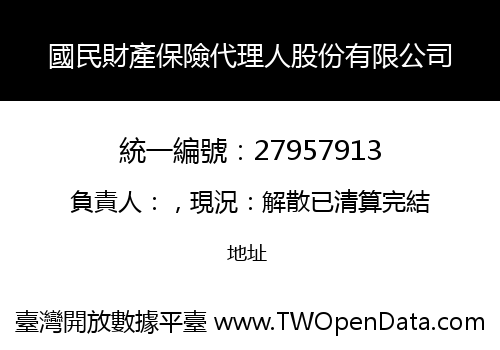 國民財產保險代理人股份有限公司