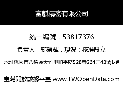富麒精密有限公司