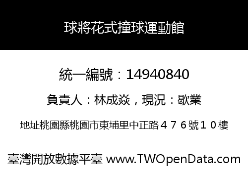 球將花式撞球運動館
