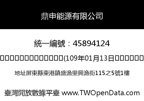 鼎申能源有限公司