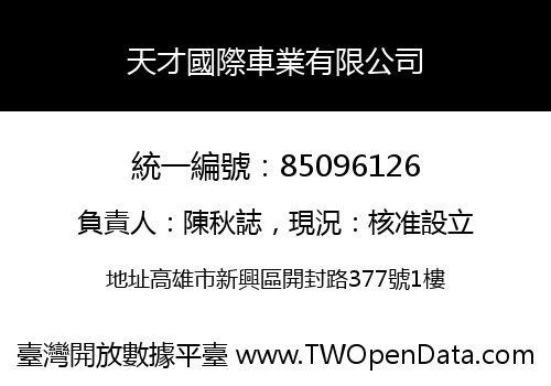天才國際車業有限公司
