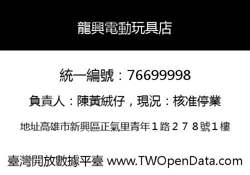 龍興電動玩具店