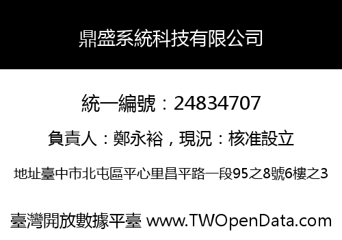 鼎盛系統科技有限公司