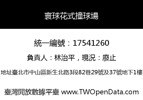 寰球花式撞球場