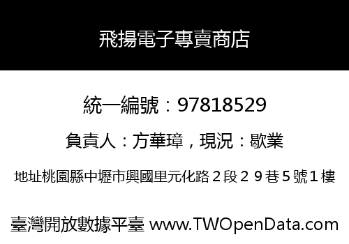 飛揚電子專賣商店