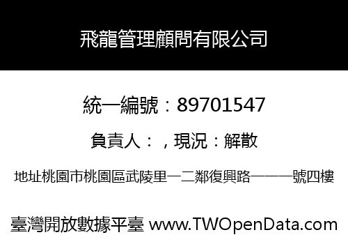 飛龍管理顧問有限公司