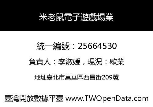 米老鼠電子遊戲場業