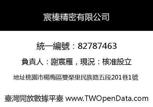 宸榛精密有限公司