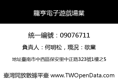 龍亨電子遊戲場業