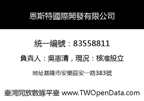 恩斯特國際開發有限公司